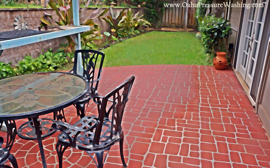 professional pressure washing cleaners Oahu