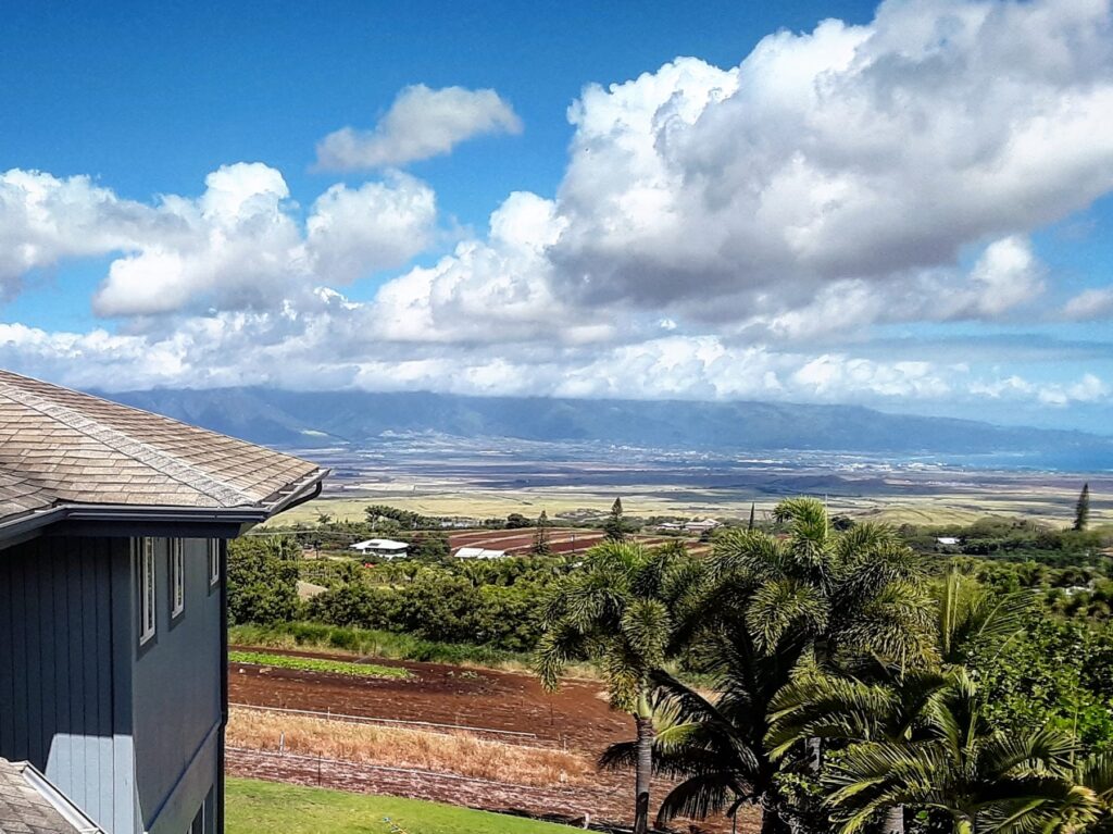 Oahu cleaning services 
