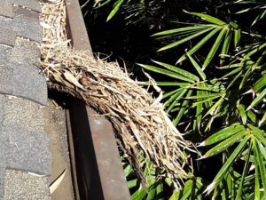 partially cleaned out gutter