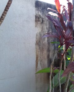 pressure washed concrete